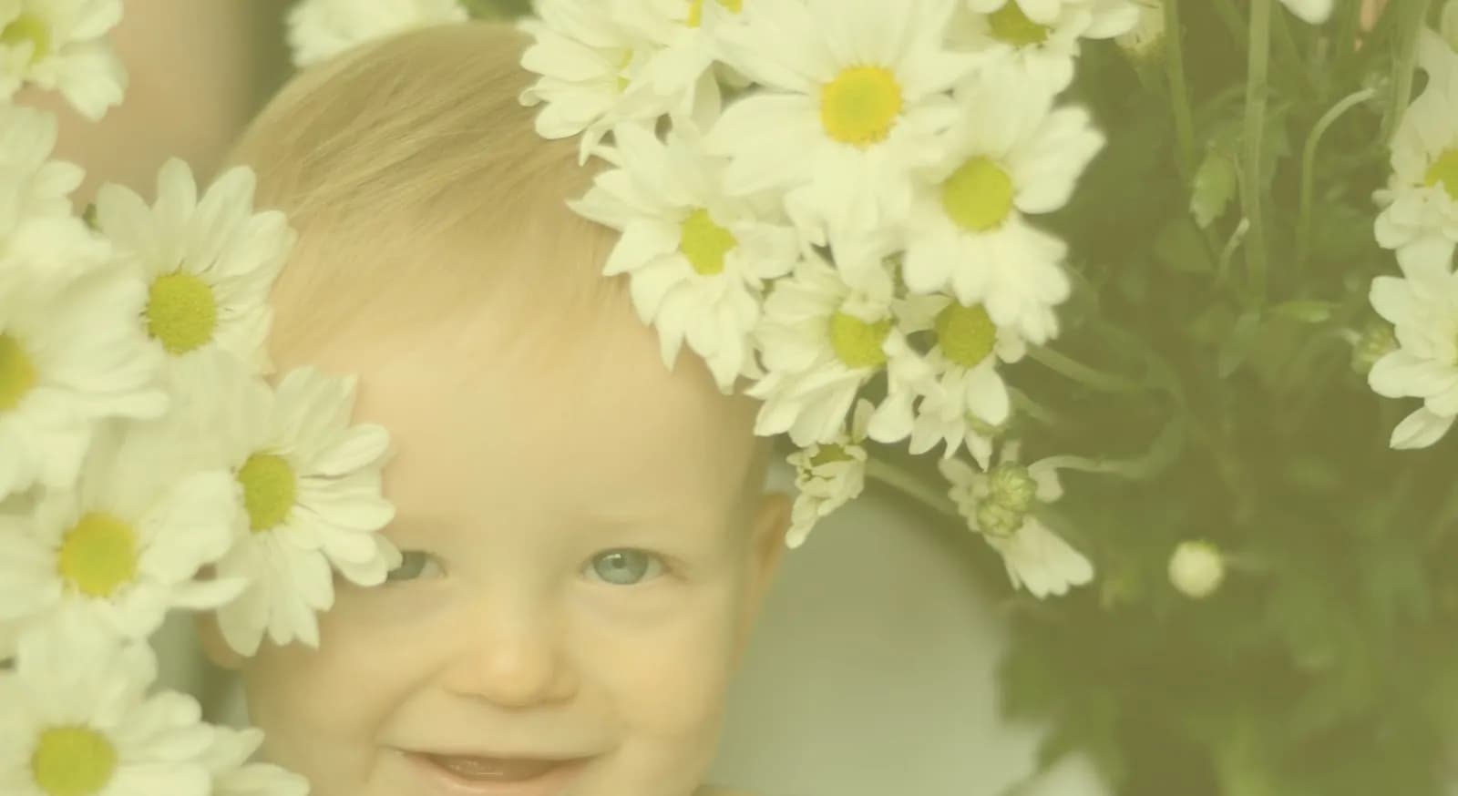 Daisies Early Education and Care Centre